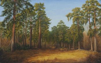 Pines of Big Izhora. Ilyushchenko Valentina