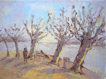 ������� ������� � �������