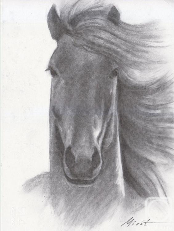 Urazayev Mirat. Horse 6