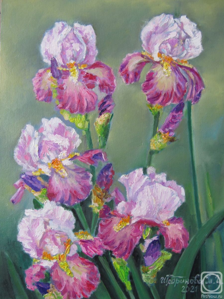 Schedrinova Tatyana. Irises