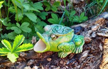 Frog (Hand-Made Clay Modeling). Stepanova Elena