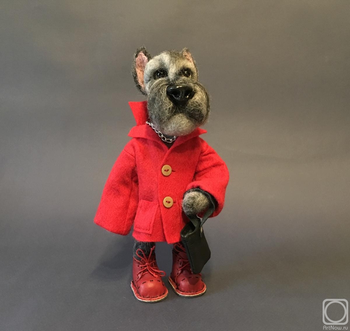 Knjazeva Svetlana. Dog of the Mittelschnauzer breed