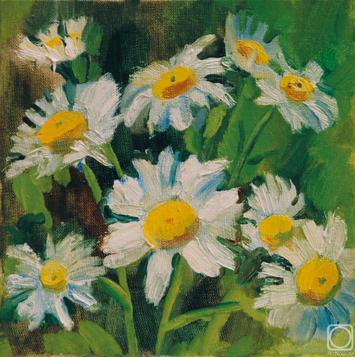 Zimina Maria. Fragments of summer (daisies)