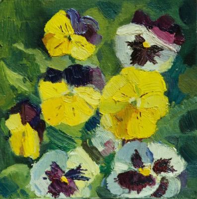 Fragments of summer (pansies)