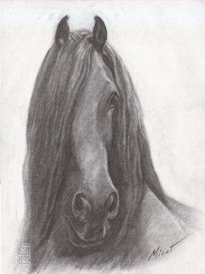 Horse 7. Urazayev Mirat
