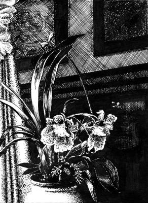 ������� ��������� ��������