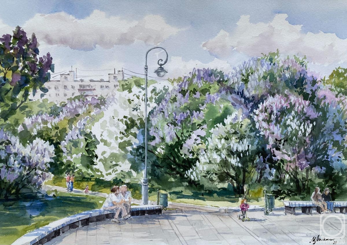 �������. �������� �����. ������ �������