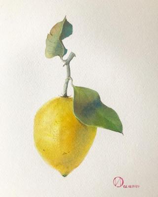 Lemon. Ivanova Olga