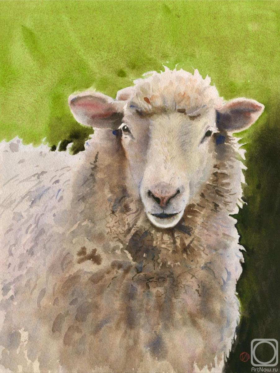 Ivanova Olga. Portrait of a sheep on a green background