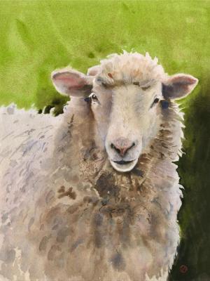 Portrait of a sheep on a green background. Ivanova Olga