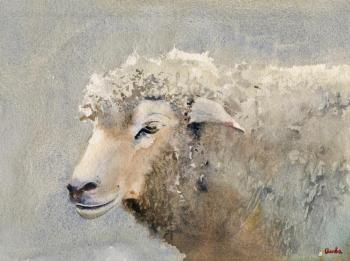 Martha the Sheep. Ivanova Olga