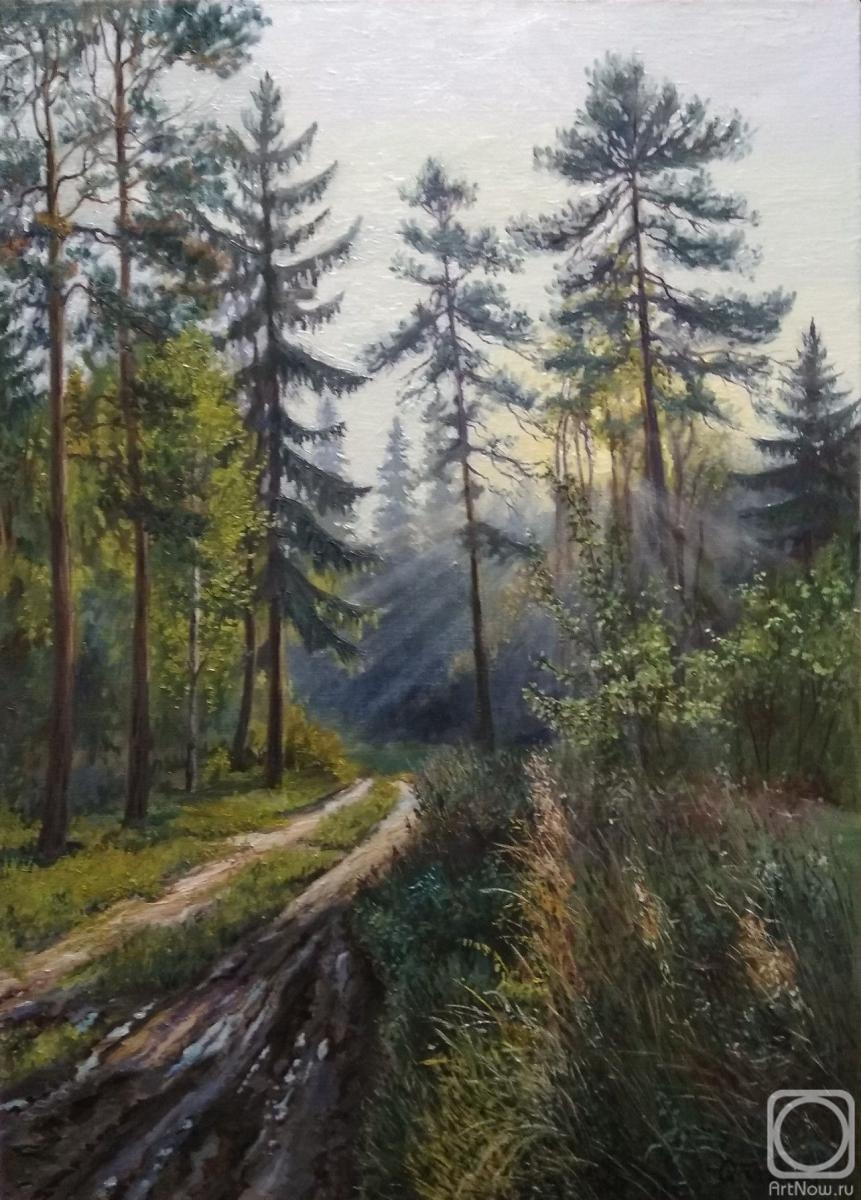 Tikunova Olga. Morning in the forest