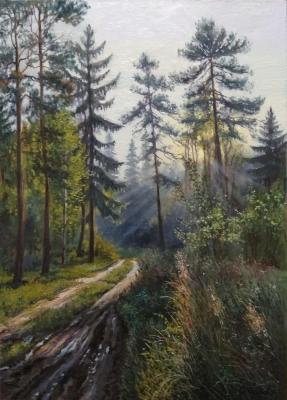 Morning in the forest. Tikunova Olga
