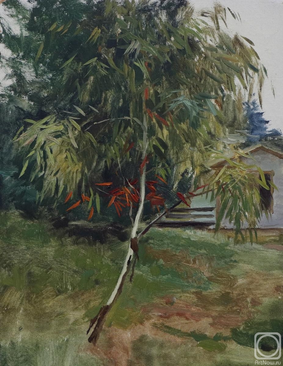 �������. �������� ��������. �������� ������