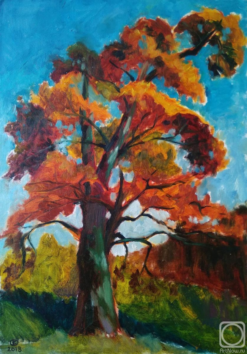 Konyaeva Olga. Oak in autumn