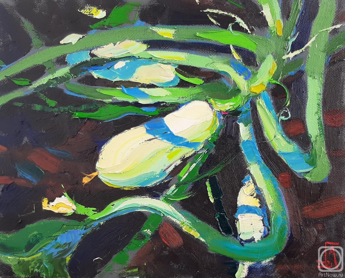 ������� ������ �� ������. ���������� �������. ��� ����� �������