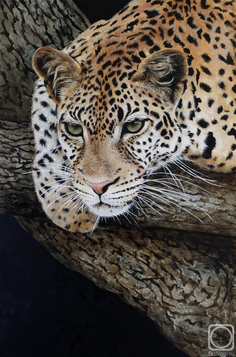 Orfenova Tatyana. Leopard