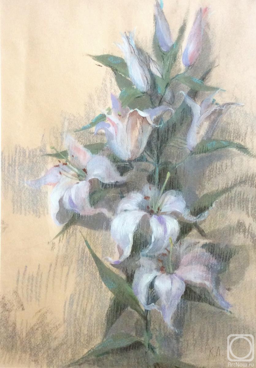 Komarova Elena. White royal lilies