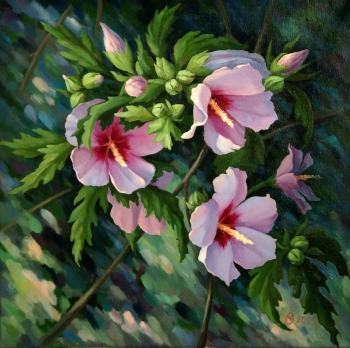 ������� �� ����� ������