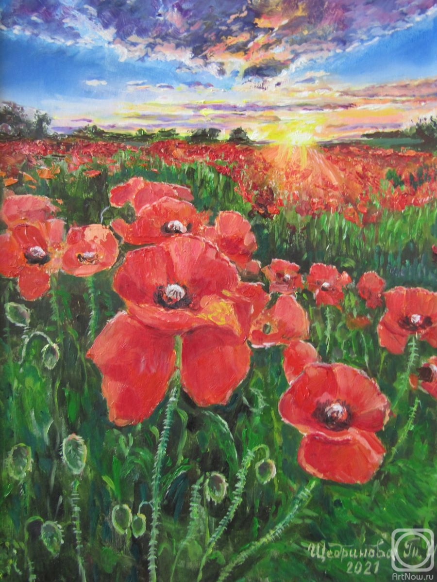 �������. ��������� �������. ������� �� ������� ����