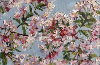 �������� �������. ���������� �����