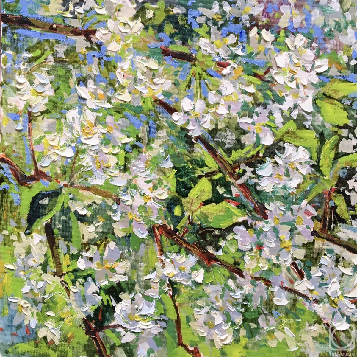 Ostrovskaya Elena. Apple tree in bloom