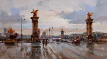 Rain in Paris. The bridge of Alexander III. Shalaev Alexey