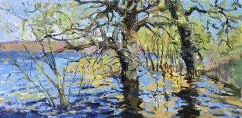 Big water on the Volga (Samara Luka). Ostrovskaya Elena