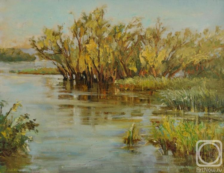 Ivanova Svetlana. Watery willows