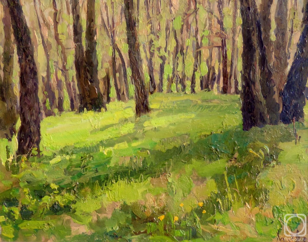 Halzev Nikolay. Sunny forest