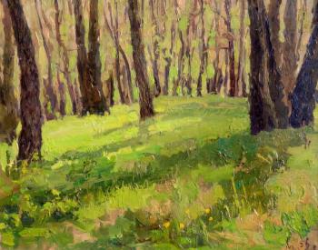 Sunny forest. Halzev Nikolay