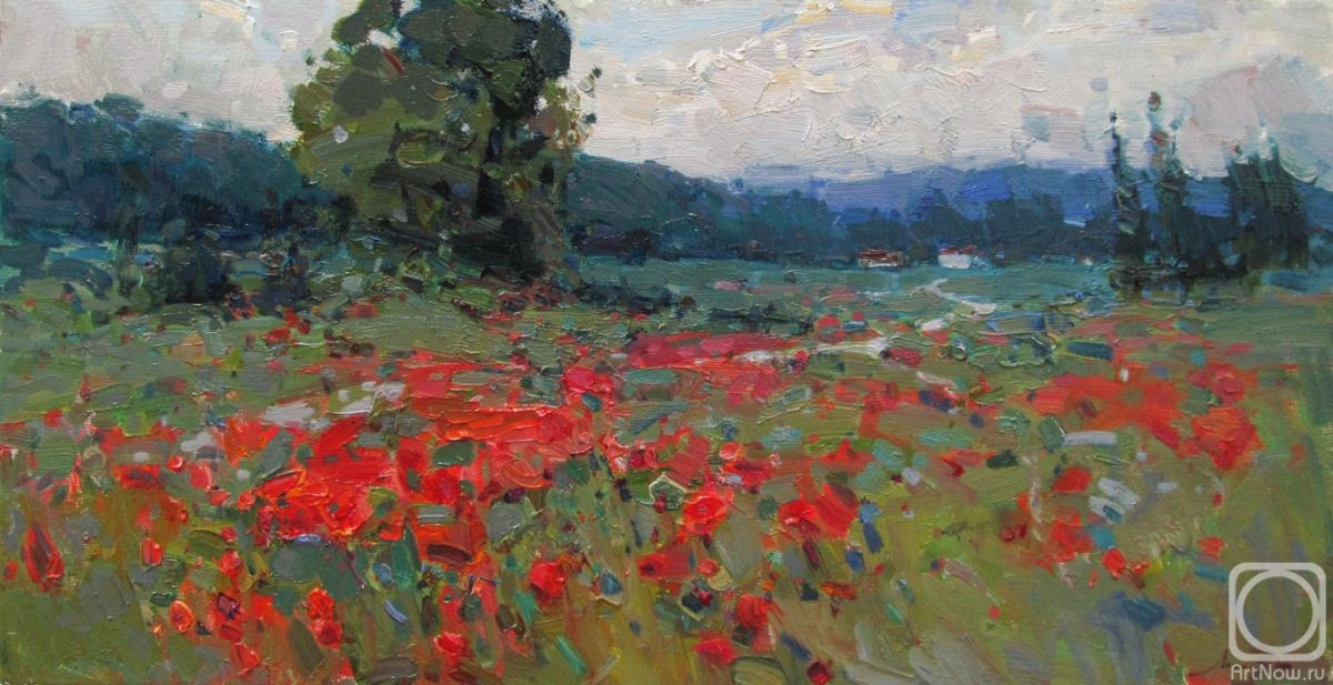 Makarov Vitaly. Poppy field in Cucuron
