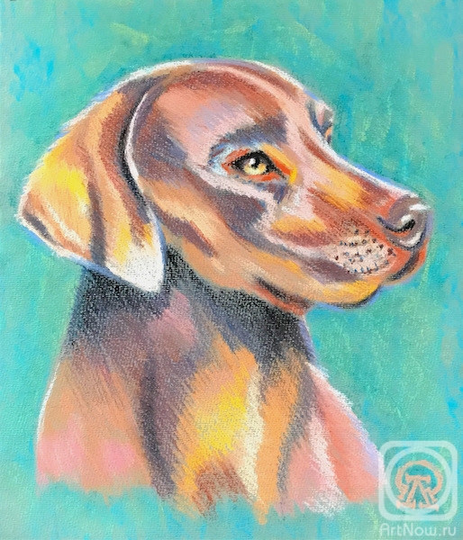 Lukaneva Larissa. Weimaraner