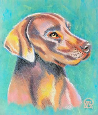 ������� �����������