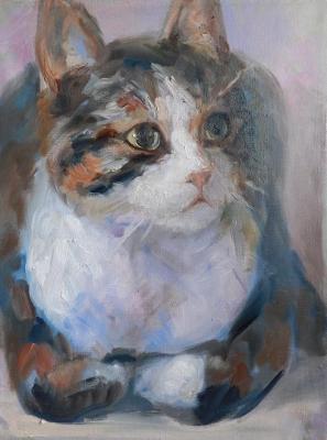 ������� ����