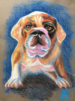 Lukaneva Larissa Anatolievna. Bulldog Puppy