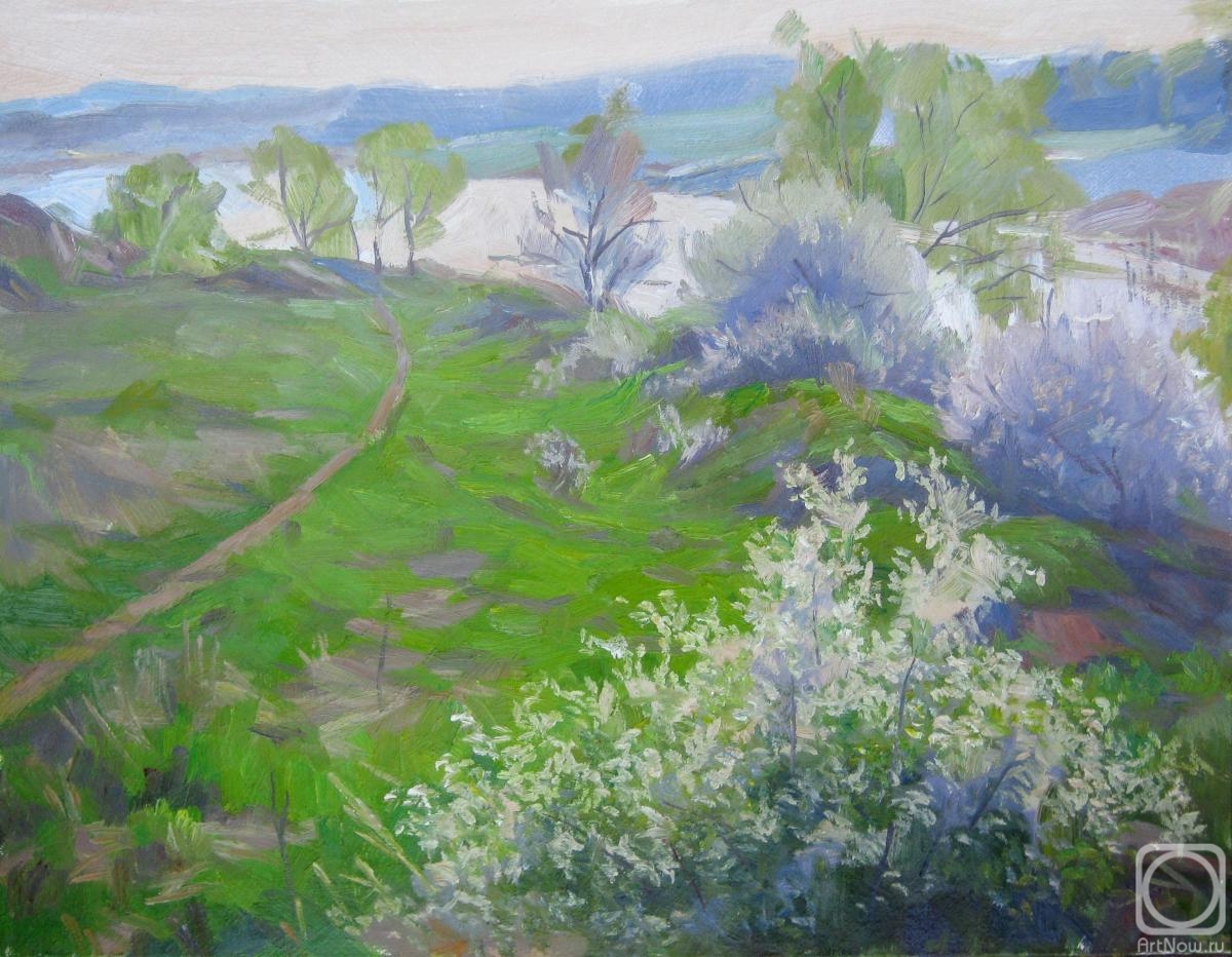 Voronov Vladimir. Morning of spring