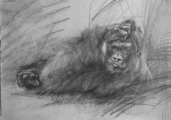 Labor has made a tired monkey out of a monkey (Labor Man). Levanovskiy Alexandr
