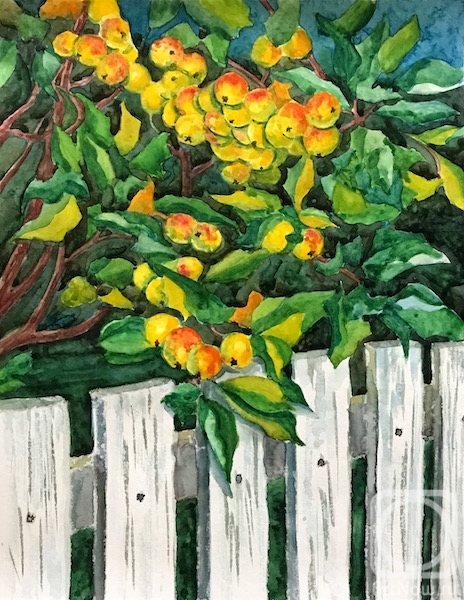 �������. �������� ������. �����