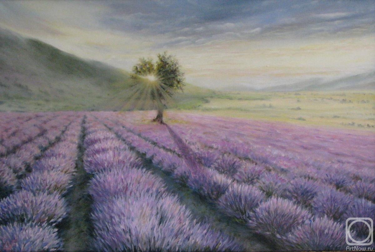 Fomina Lyudmila. Aroma of lavender