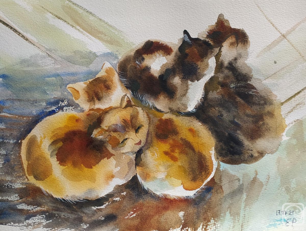 �������. ���� �����. ����������� ����� �����