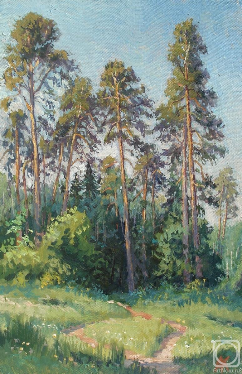 Kovalevscky Andrey. Pine trees in the Izmailovsky forest