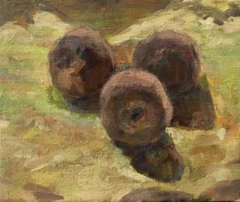 ������ ����� �������. �������� ��������