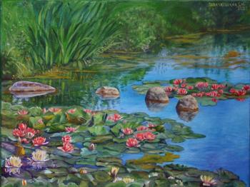 Water lilies on the pond. Kudryashov Galina