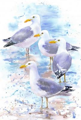 Blue-gray gulls. Masterkova Alyona
