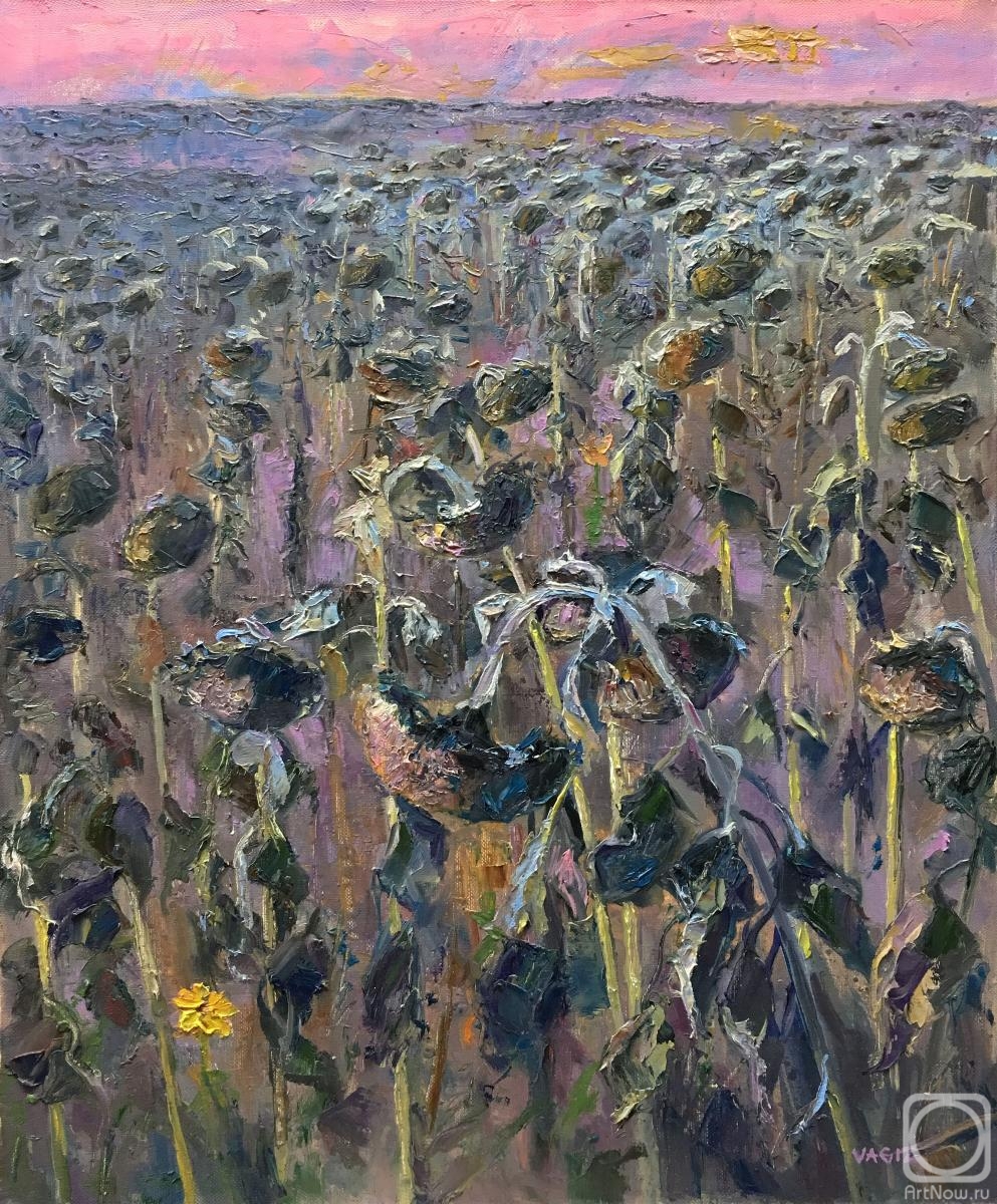 Shaykhetdinov Vagiz. Sunflowers-1 (sunset)