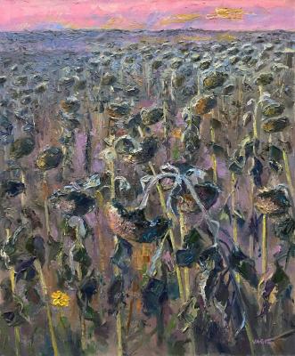 Sunflowers-1 (sunset). Shaykhetdinov Vagiz