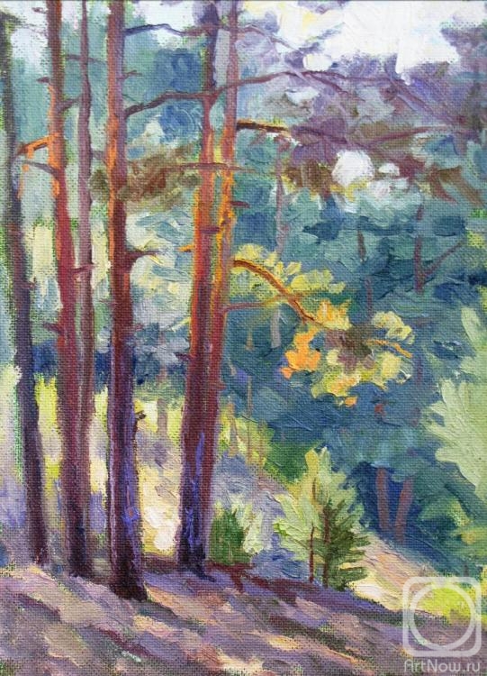 Rodionov Igor. Sunny morning in a pine forest