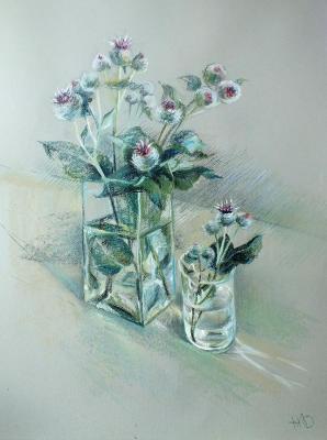 Burdock flowers. Odnolko Natalia