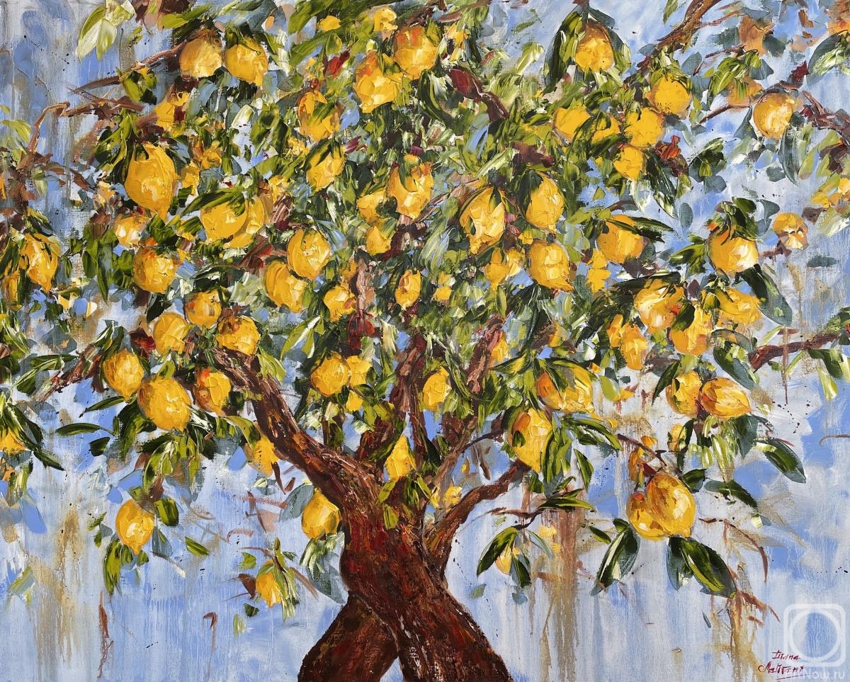 ������� ������ �� ������. �������� �����. �������� ������